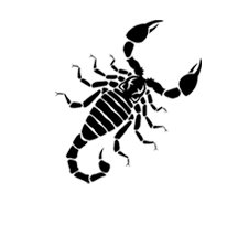 Scorpio