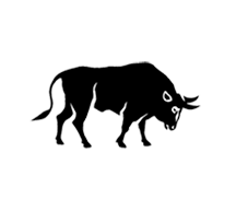 Taurus